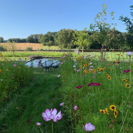 La Maison Du Cerf Urciers Exteriér fotografie
